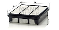 Air Filters C 2438